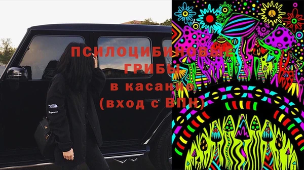 прущий лед Новозыбков
