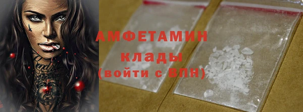 амф Новодвинск