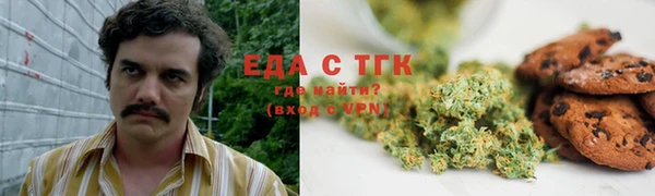 амф Новодвинск