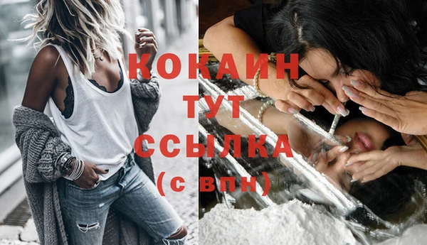 амф Новодвинск