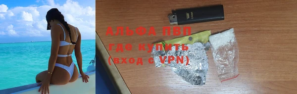 амф Новодвинск