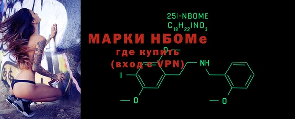 прущий лед Новозыбков