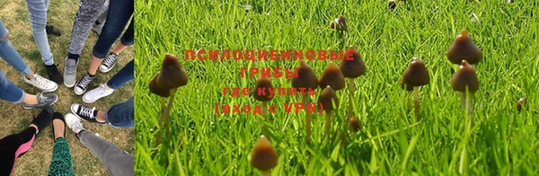 амф Новодвинск