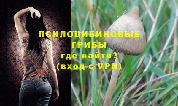прущий лед Новозыбков