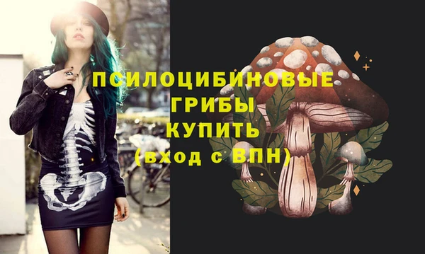 амф Новодвинск