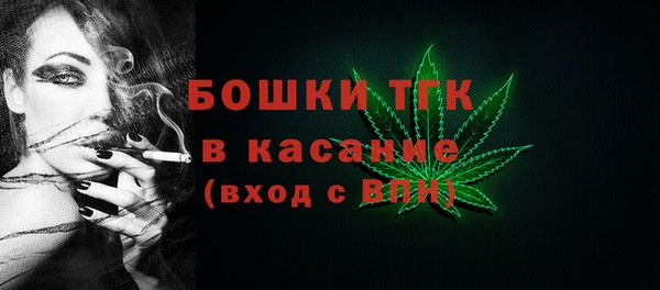 прущий лед Новозыбков