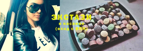 прущий лед Новозыбков