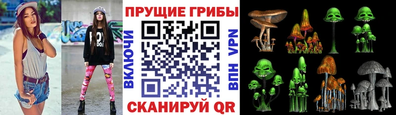 купить наркотик  Белореченск  Псилоцибиновые грибы MAGIC MUSHROOMS 