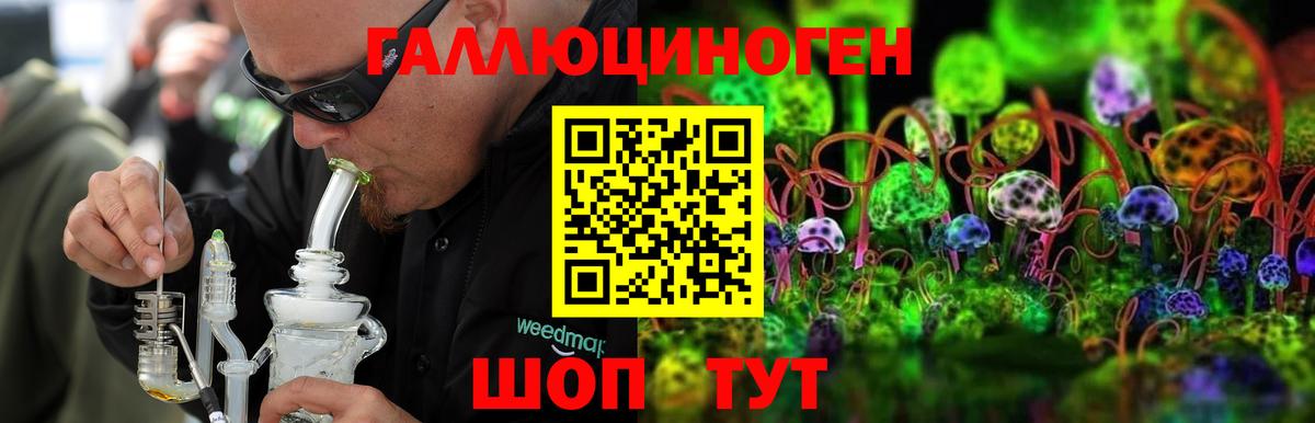 Псилоцибиновые грибы прущие грибы  Белореченск 