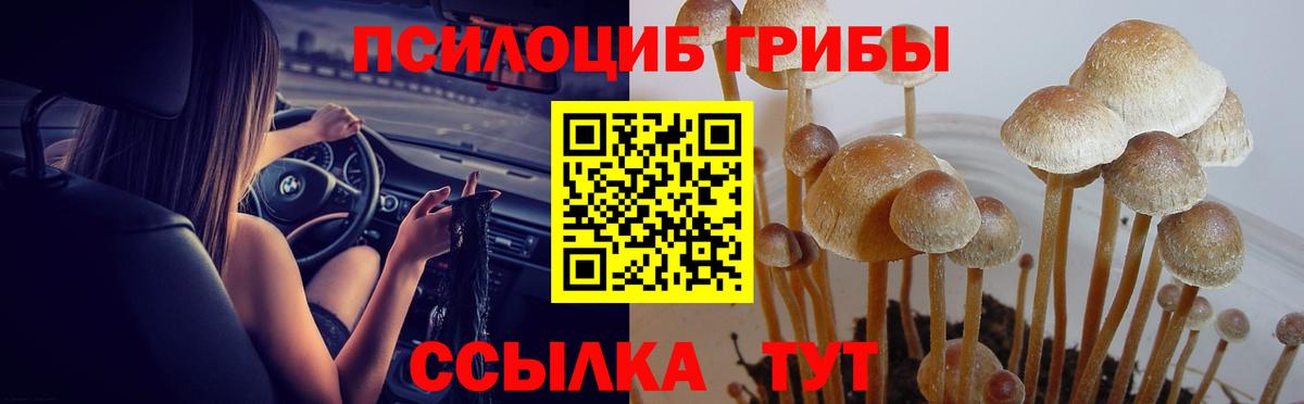 Галлюциногенные грибы Magic Shrooms  Вход с VPN  Белореченск 